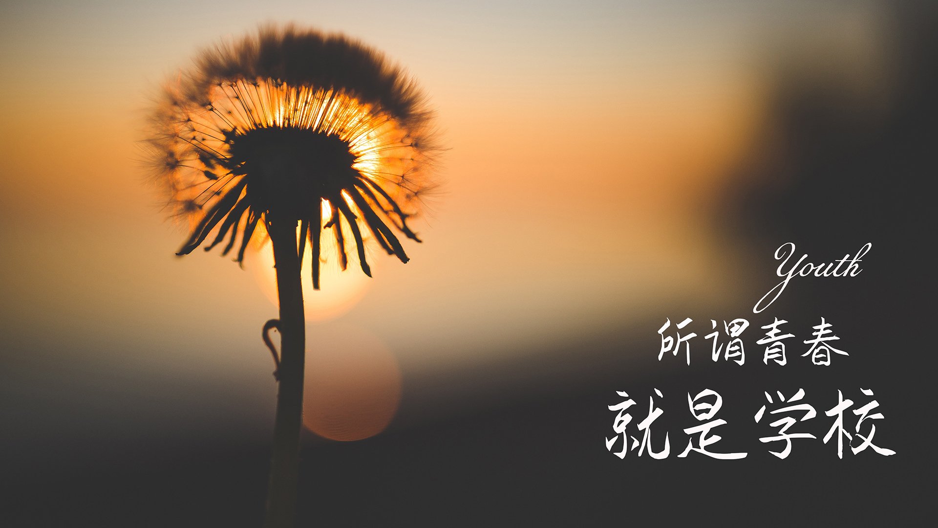 亚洲杯国足逆袭 球员技术水平明显提高,亚洲杯国足最好成绩
