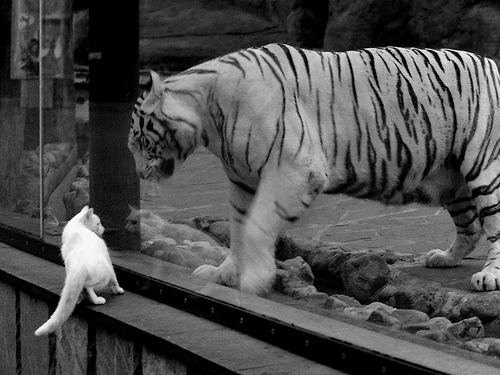 英雄联盟赛季总结战队表现评分引网友热议，2021年lol战队积分